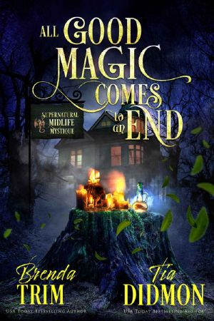 [Shrouded Nation 02] • All Good Magic Comes to an End · Paranormal Women's Fiction (Supernatural Midlife Mystique) (Shrouded Nation Book 2)